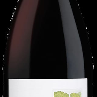 Sycamore Pinot Noir